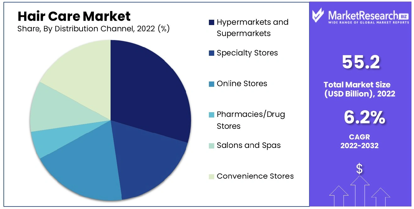 Hair Care Distribution Channel Dynamics