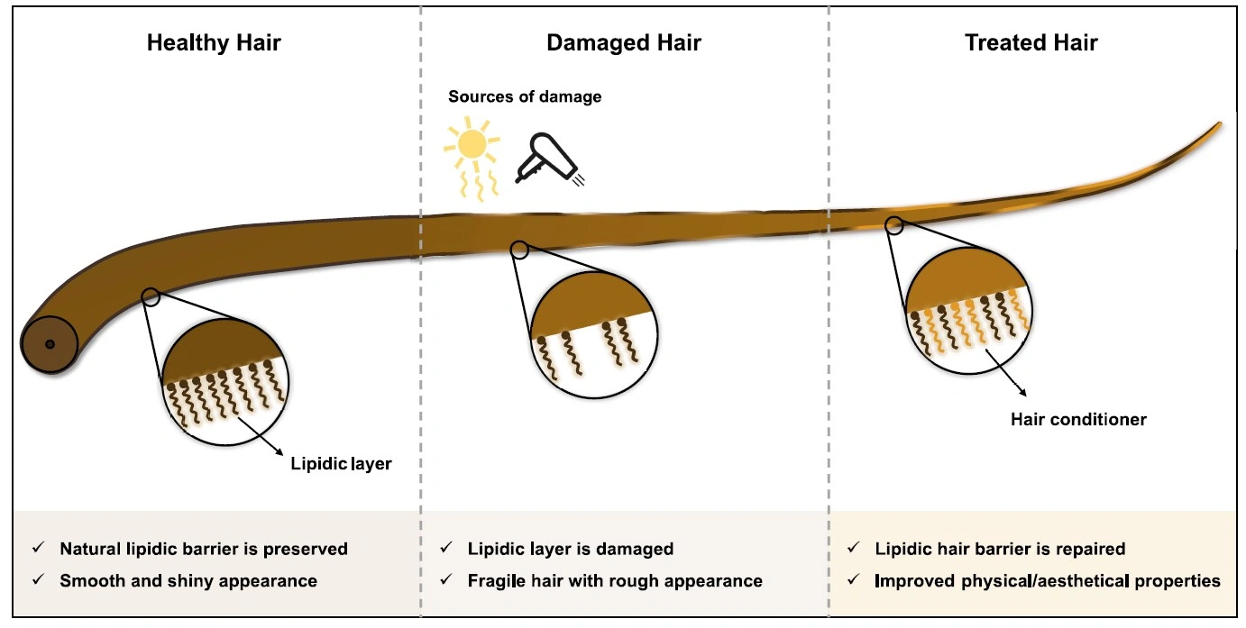 Hair quality comparison