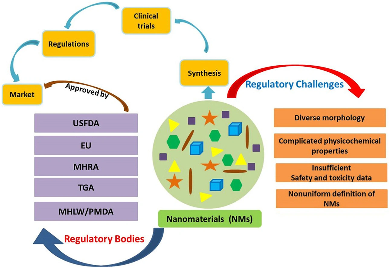 Current regulatory landscape of nanomaterials and nanomedicines