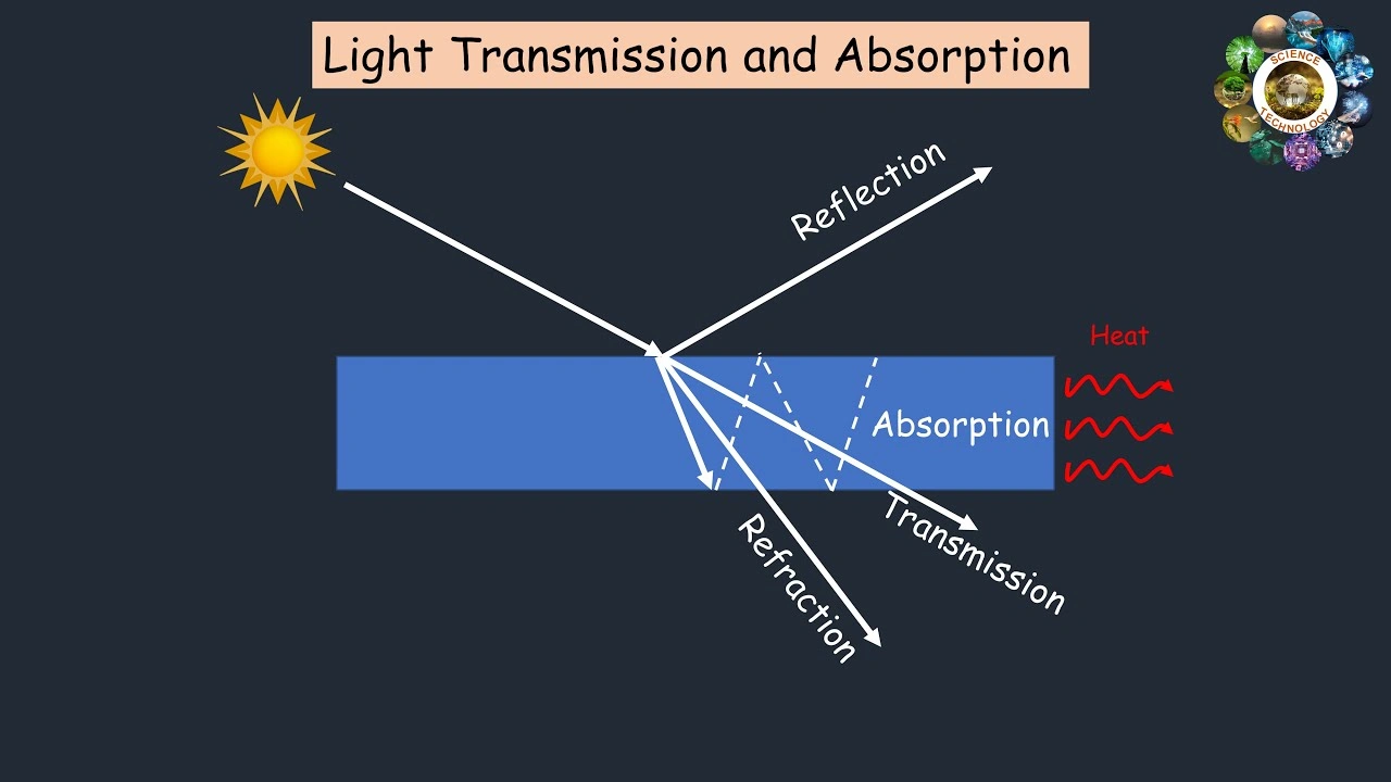 Light transmission and absorption