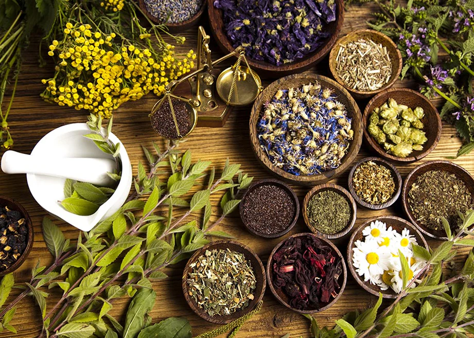 why standardized herba extracts