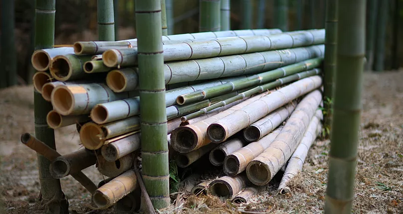 bamboo material