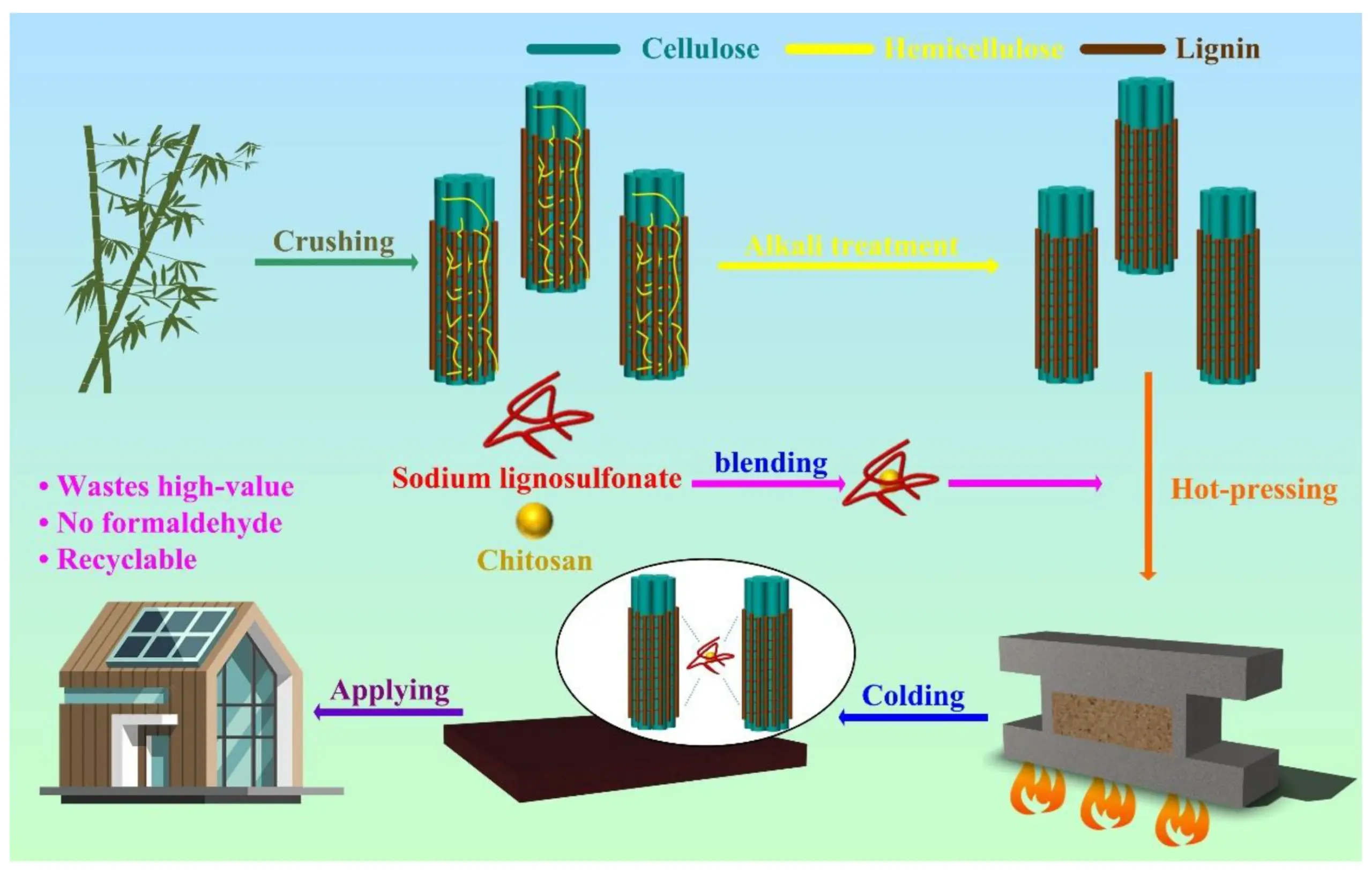 bamboo Recycling and Composting