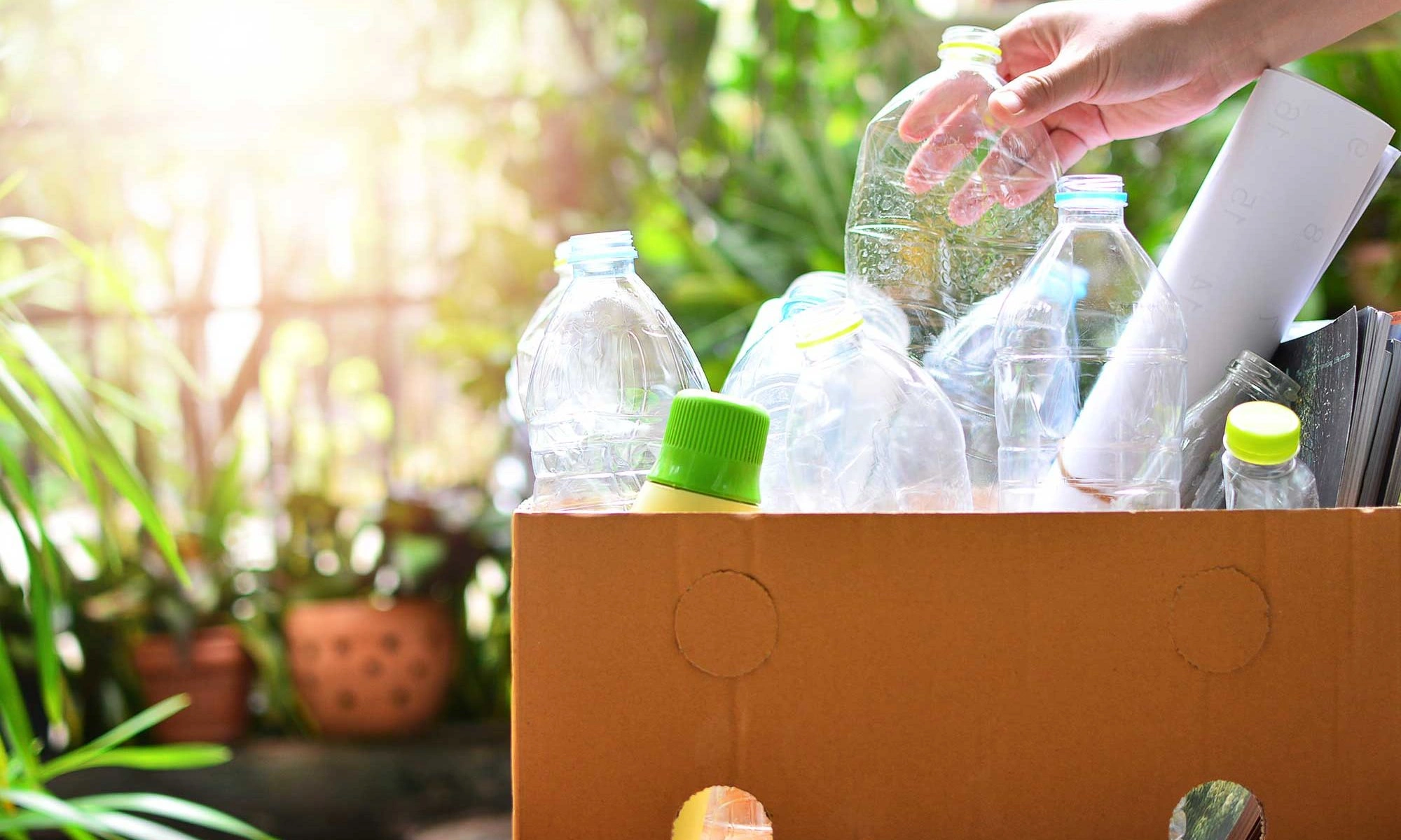 Bio-Based Packaging