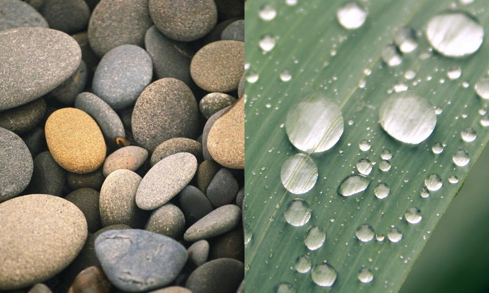 A Packaging Series Built from the Ground Up